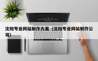 沈丘沈阳专业网站制作方案（沈阳专业网站制作公司）
